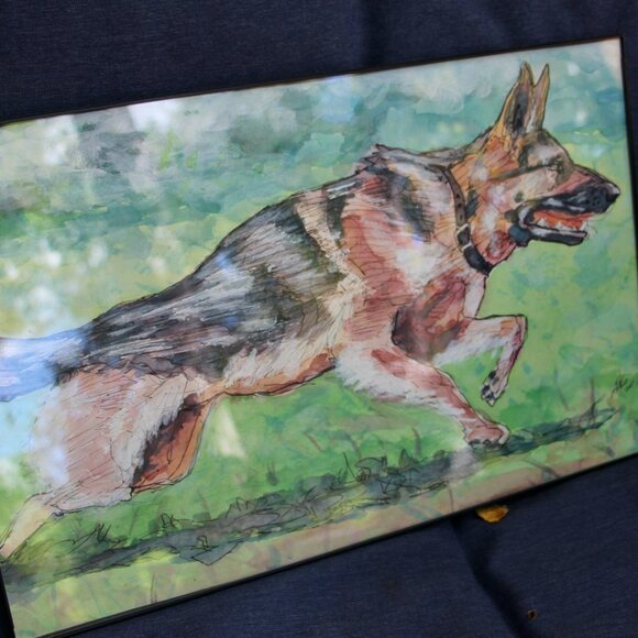 Watercolor and sketch of German Shepard - Picture 3 of 5